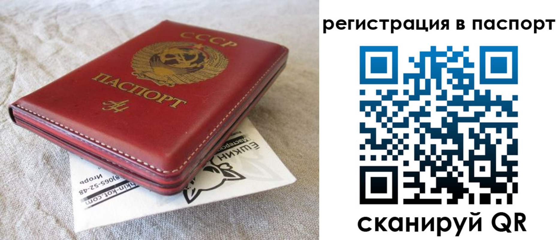 где прописаться в Бикине